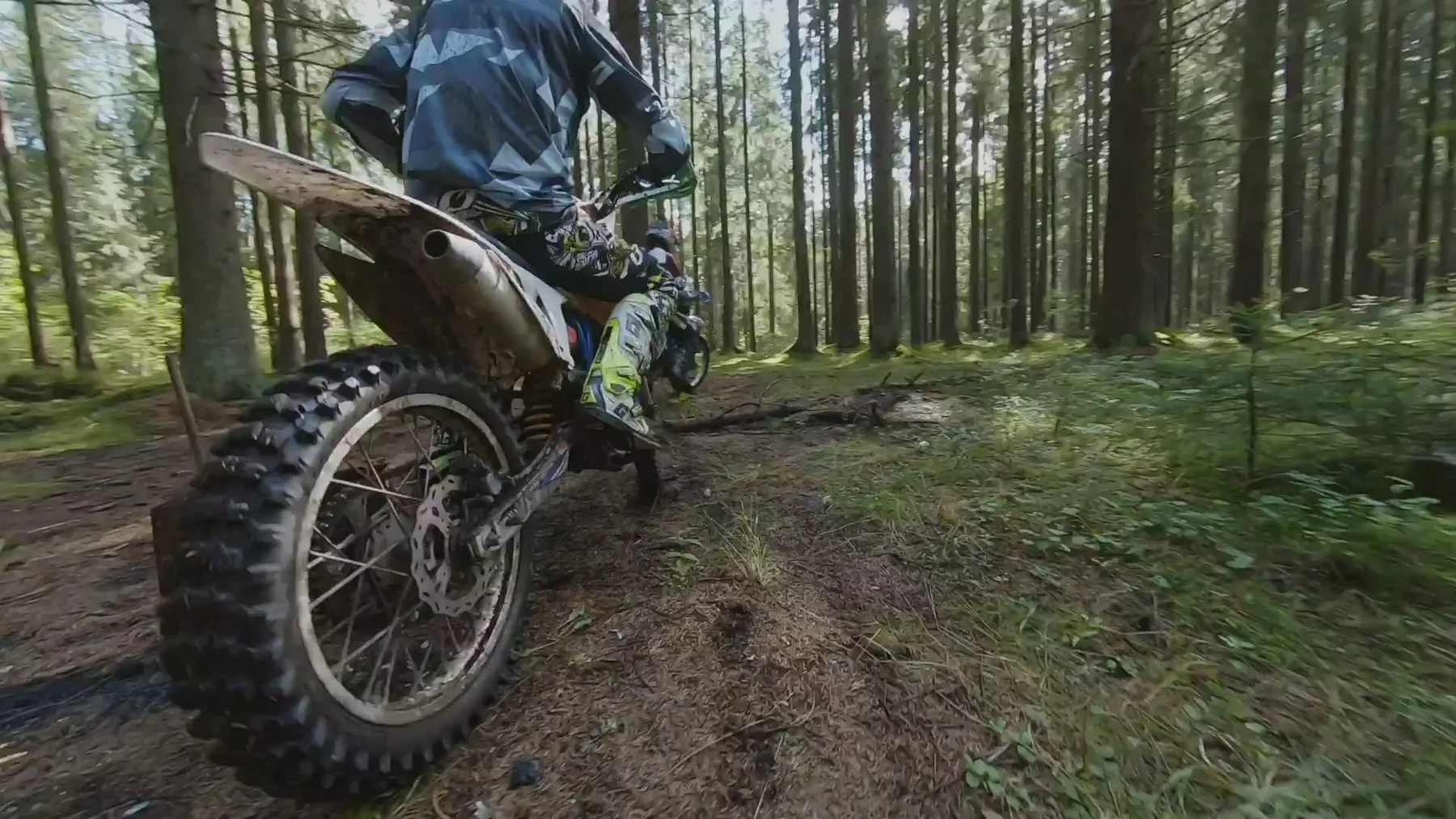 Rule Every Terrain Today
